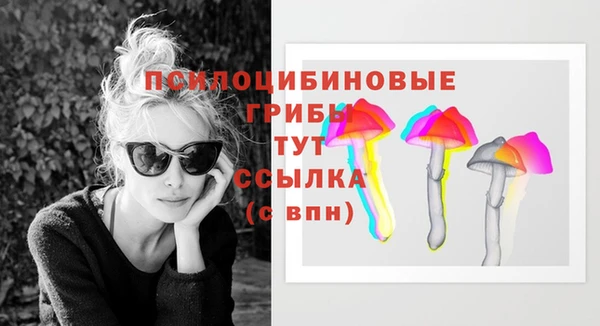 бошки Богородицк