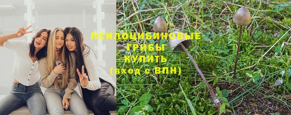 экстази Богородск