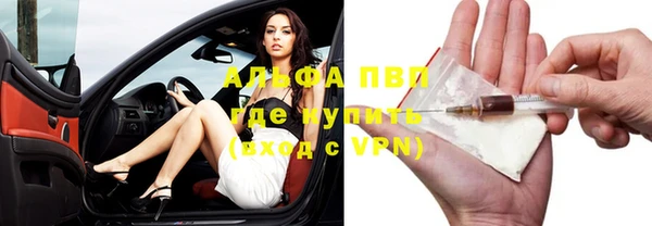 гашиш Богданович