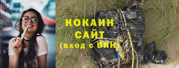 гашиш Богданович