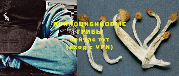 бошки Богородицк
