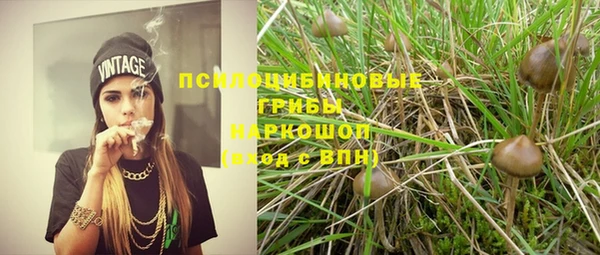 гашиш Богданович