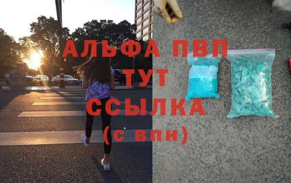 гашиш Богданович