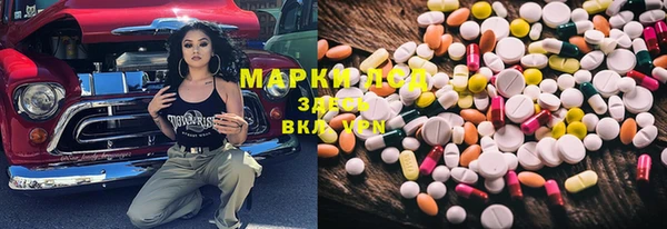 гашиш Богданович