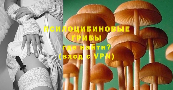 бошки Богородицк
