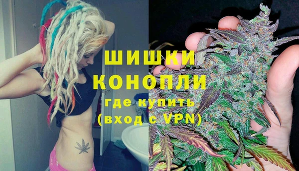бошки Богородицк