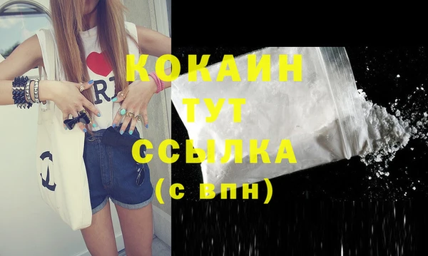 гашиш Богданович