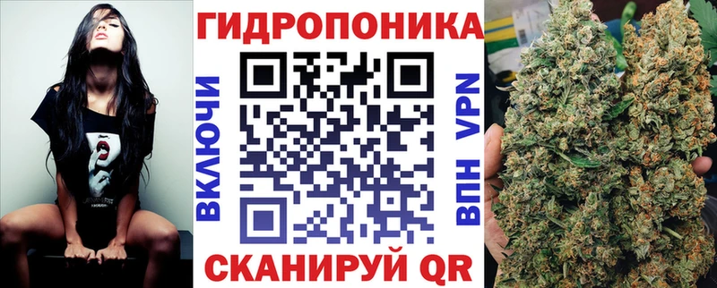 Конопля планчик где найти Ростов-на-Дону